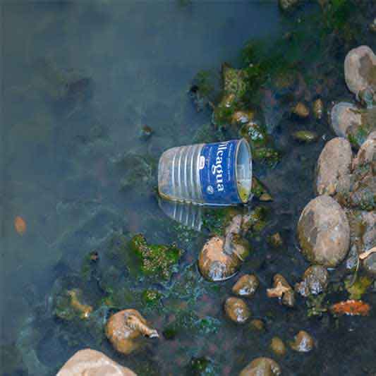 Foto botella en el río