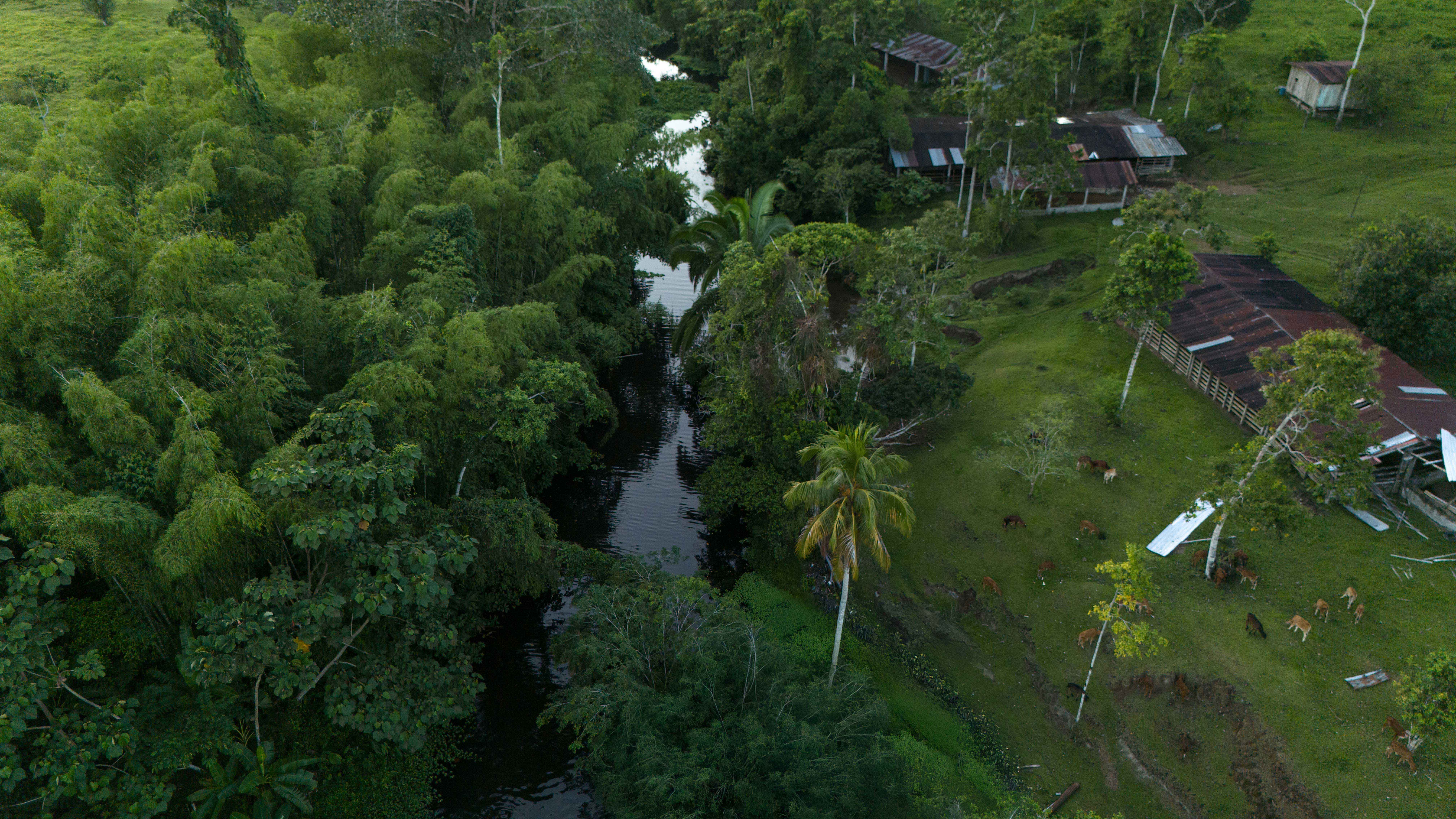 Rio Orienco