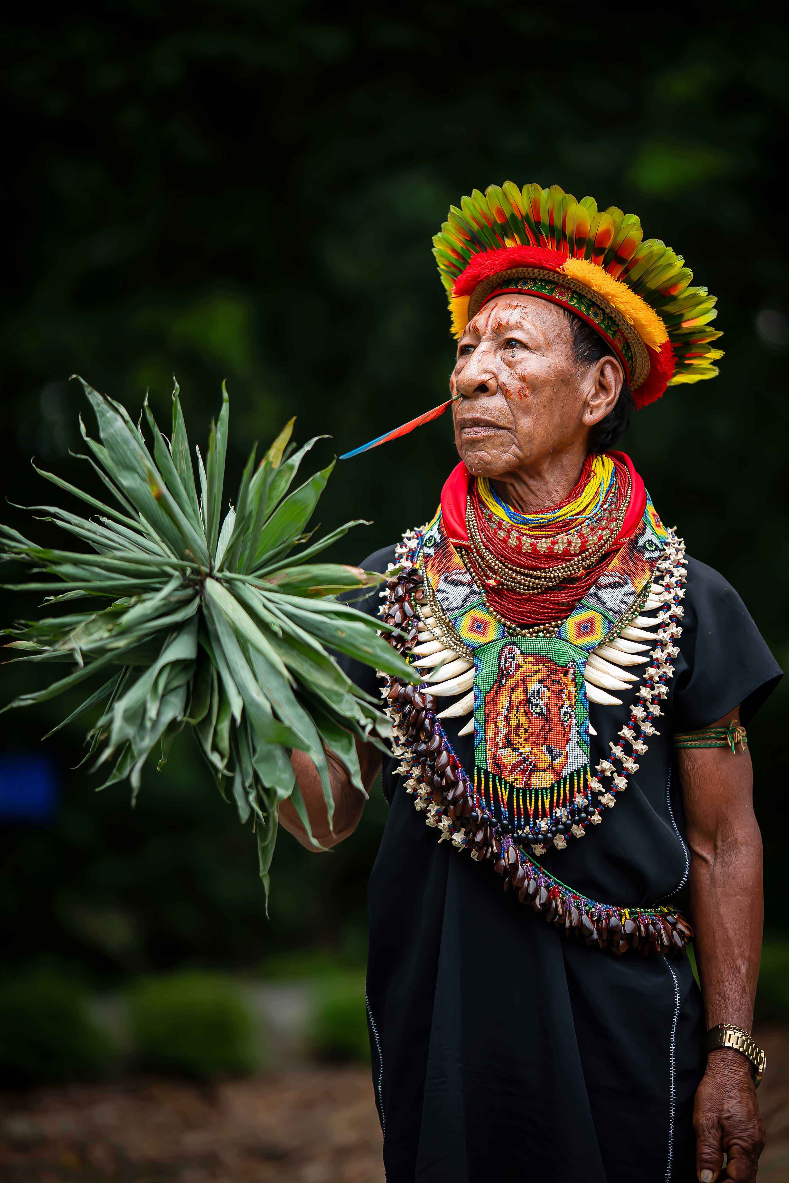 Comunidad indigena