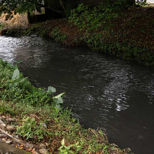 Río contaminado