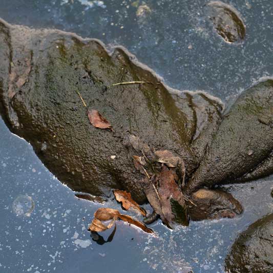 basura en el río