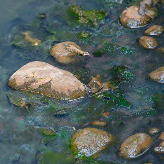 Río contaminado